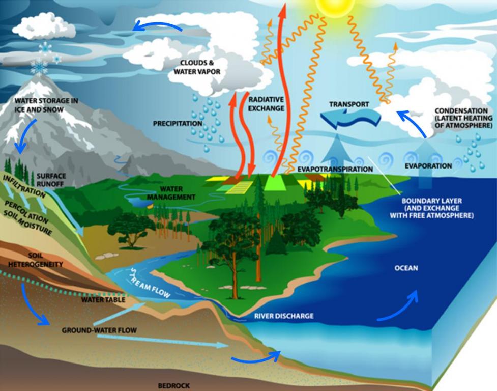 [DIAGRAM] Diagrams For The Water Cycle